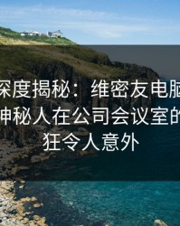 微密圈深度揭秘：维密友电脑版风波背后，神秘人在公司会议室的角色疯狂令人意外