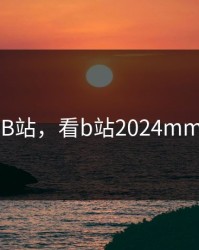 看B站，看b站2024mmm