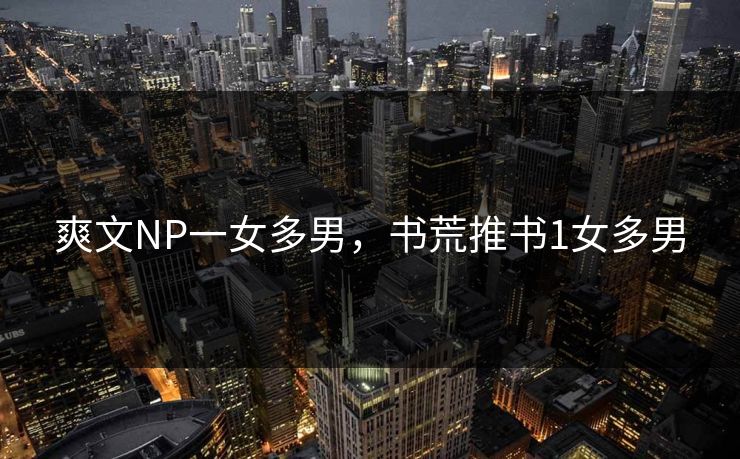 爽文NP一女多男，书荒推书1女多男