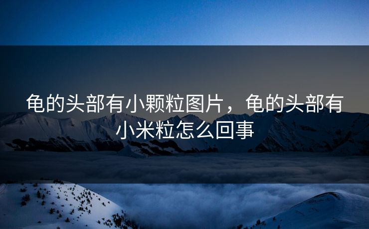龟的头部有小颗粒图片，龟的头部有小米粒怎么回事