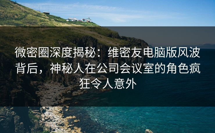 微密圈深度揭秘：维密友电脑版风波背后，神秘人在公司会议室的角色疯狂令人意外