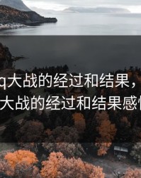 第一次3q大战的经过和结果，第一次3q大战的经过和结果感悟