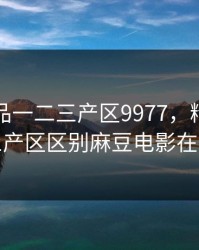 精产国品一二三产区9977，精产国品一二三产区区别麻豆电影在线观看