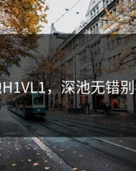 深池H1VL1，深池无错别字版