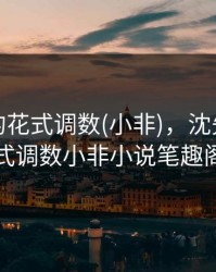 沈先生的花式调数(小非)，沈先生的花式调数小非小说笔趣阁