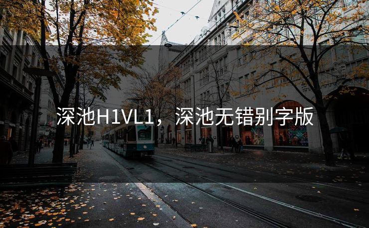 深池H1VL1，深池无错别字版
